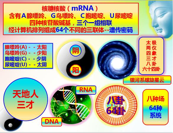 探寻文明之源 陈红涛教授再解“群经之首”《易经》(图8) 《易经》与现代科学之间的关联图