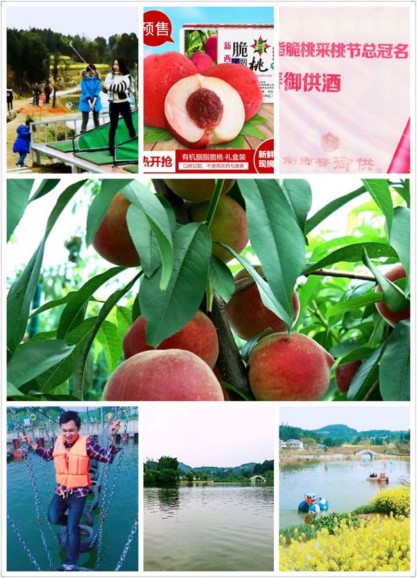 四川绵阳:抓住全域旅游发展契机大力发展农业产业,梓潼县华沙乡村旅游成亮点!(图1) 梓潼县石牛镇华沙生态旅游度假村文化休闲掠影