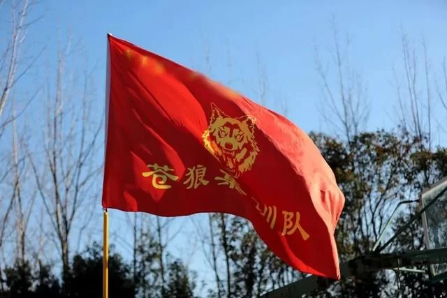 揭秘“苍狼”:没有姓名,没有职务,只有代号(图1) 揭秘“苍狼”:没有姓名,没有职务,只有代号……