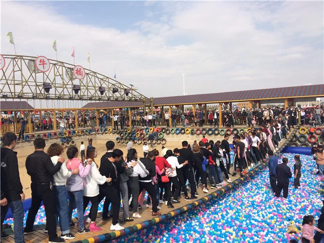 陕西榆阳: 农村集体产权制度改革激发乡村振兴“动力源”(图6) 金鸡滩镇白舍牛滩村田园综合体游人如织