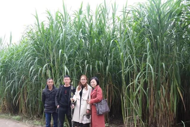 领导专家齐聚一堂,探讨“忠华盛世金牧粮草”高科技种养循环产业发展(图10) 领导专家齐聚一堂,探讨“忠华盛世金牧粮草”高科技种养循环产业发展(图10)