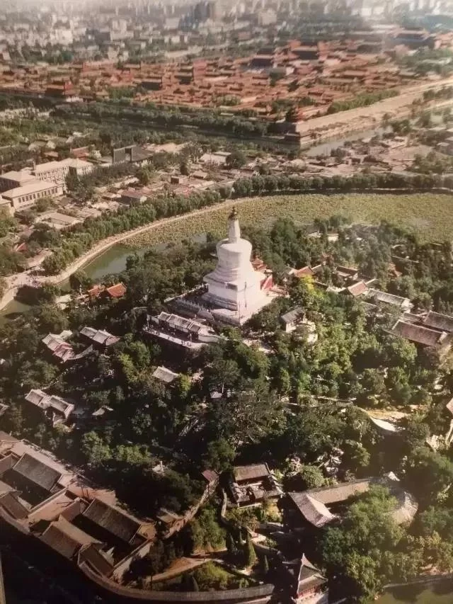 春暖花开季 阅读正当时——角楼图书馆线上直播"2020读城"活动启动(图2) 春暖花开季 阅读正当时——角楼图书馆线上直播